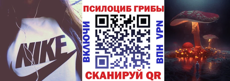 дарк нет телеграм  Алдан  Псилоцибиновые грибы MAGIC MUSHROOMS 